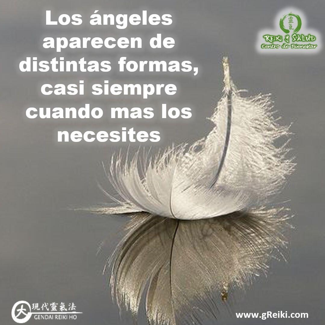 Los ángeles aparecen de distintas formas, casi siempre cuando más los necesites. Solo tienes que conectarte con tu esencia y tu magia se materializará.Los mensajes siempre llegan, siempre hay revelaciones, entonces debes aprender a confiar más en tu intuición para que cada vez más mensajes lleguen. A veces, los mensajes llegan como un pensamiento que no esperabas, una canción, unas personas, una situación.A veces se aparecen como una neblina, una figura ambigua que se forma y desaparece ante sus ojos haciéndole dudar de si ha ocurrido o no. Todas estas visitas se caracterizan por su sutileza.Recuerda no utilizan grandes gestos para mostrar su presencia. Dejan pistas que nosotros debemos reconocer. Somos nosotros quienes decidimos.️ Feliz viaje de auto descubrimiento y despertar.Con toda la certeza que, si lo CREES, lo CREAS, compartimos desde Casa Reiki y Salud, un abrazo de luz, con la confianza de que Dios está con nosotros y somos uno con la conciencia universal.Casa Reiki y Salud, una caricia para el alma, ampliando el circulo de luz, promoviendo una vida de felicidad y bienestar.Gracias, gracias, gracias, Namaste, @dinopierini️ Comparte esta publicación con quien te vino a la mente cuando la leíste., Gracias, gracias gracias🌐Página WEB: www.gReiki.com#despertar #reikimaracaibo #reikizulia #reikivenezuela #reikisalud #totalcoherencia #reikisalud #smile #bienestar #reiki