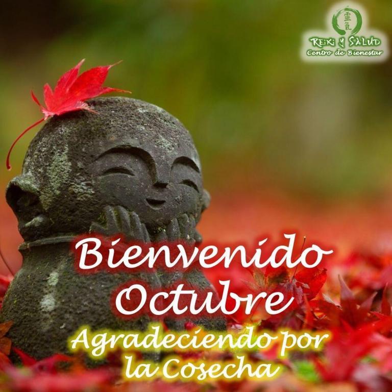 BIENVENIDO OCTUBRE, mes del agradecimiento por la COSECHA del año. Entramos en el último trimestre…