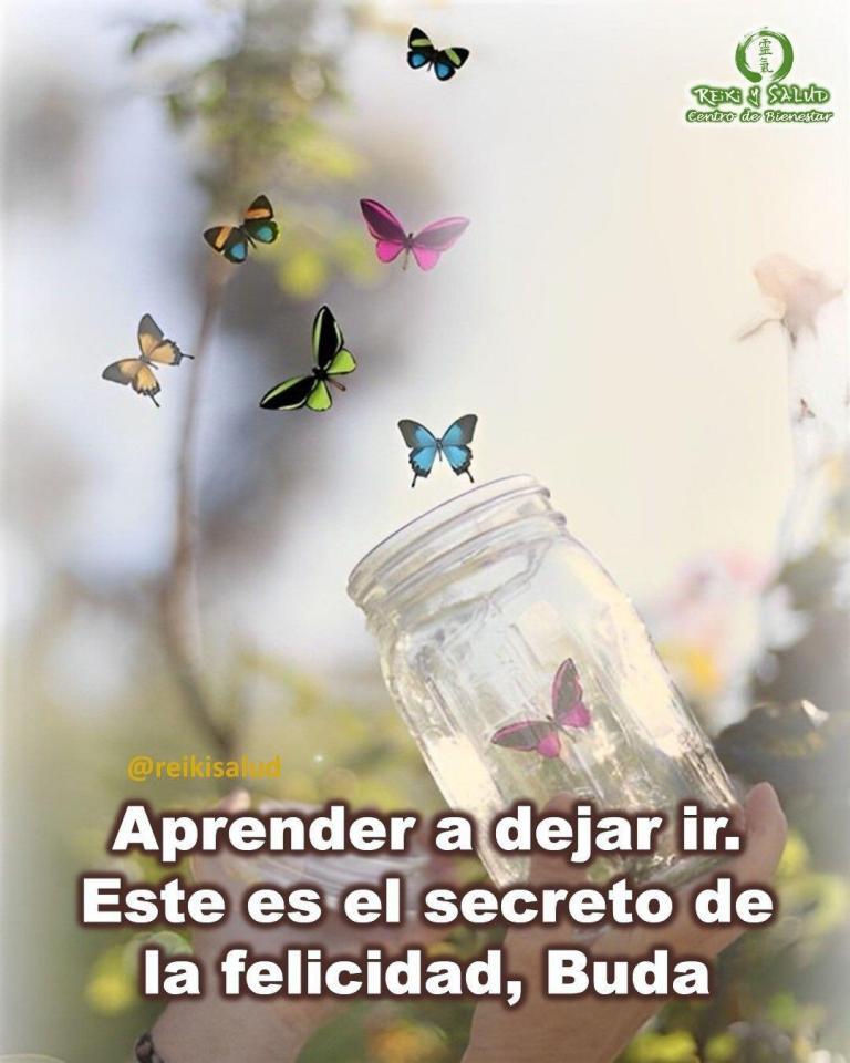 Aprender a dejar ir. Este es el secreto de la felicidad, Buda. Desapegarse de todo,…