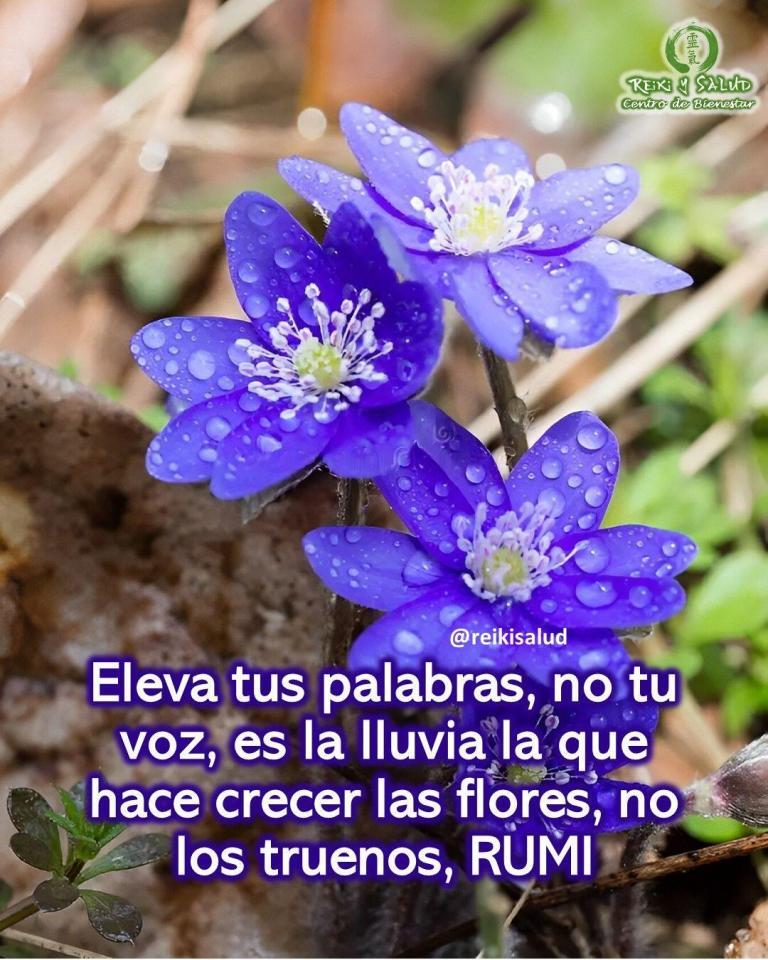 Eleva tus palabras, no tu voz, es la lluvia la que hace crecer las flores,…