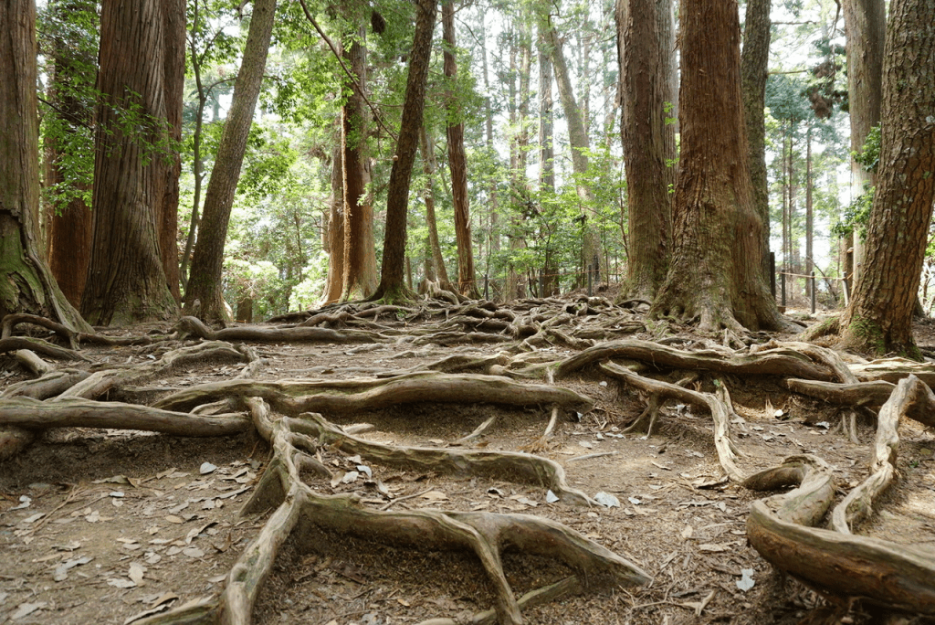 image 16 Lugares Conmemorativos del Usui Reiki Ryoho