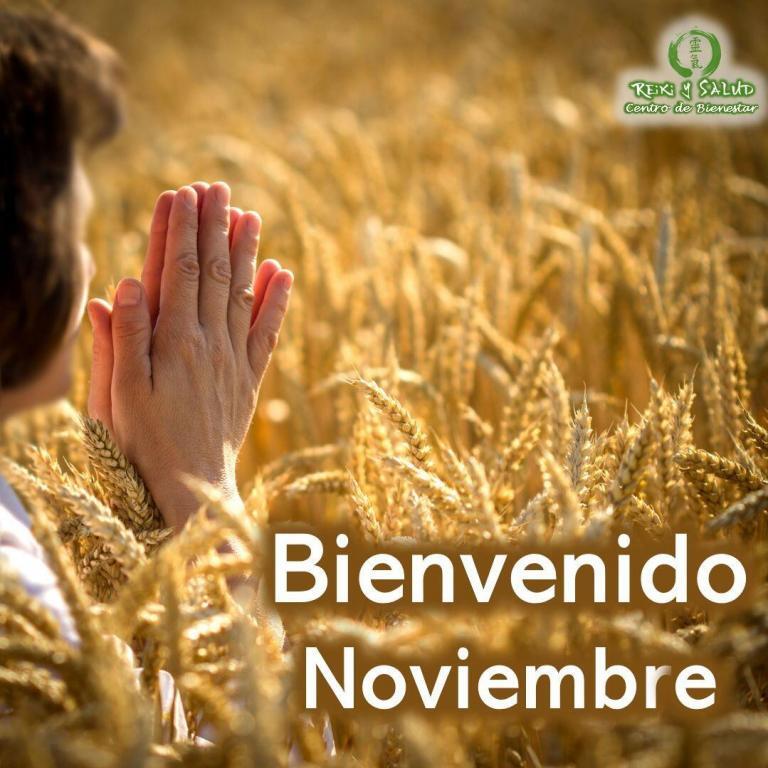 Bienvenido Noviembre. Este es un mes de consolidación de la cosecha del 2023, en preparación…