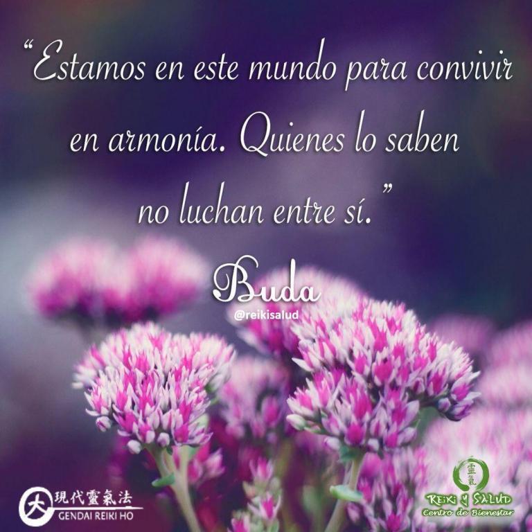 «Estamos en este mundo para convivir en armonía. Quienes lo saben no luchan entre sí”,…