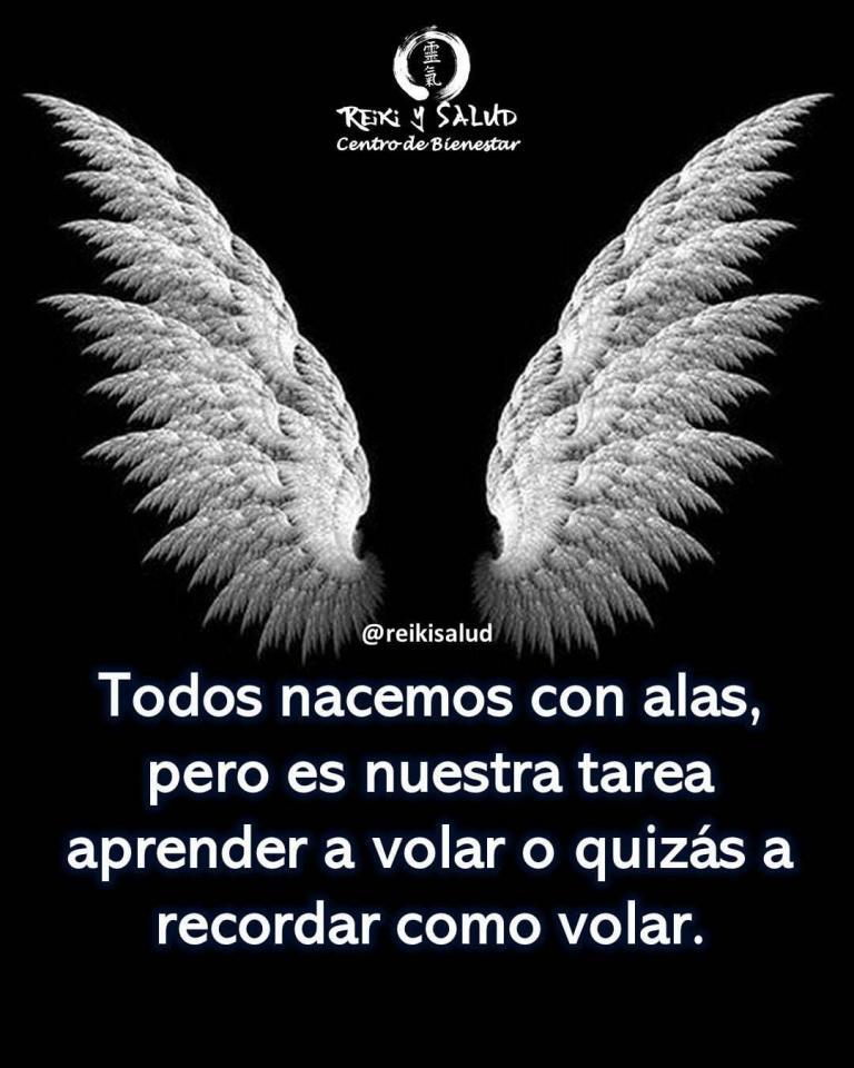 ✨Todos nacemos con alas, pero es nuestra tarea aprender a volar o quizás a recordar…