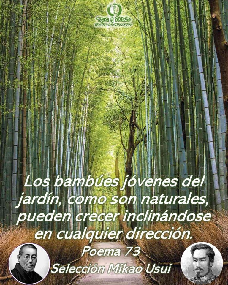 Los bambúes jóvenes del jardín, como son naturales, pueden crecer inclinándose en cualquier dirección, Gyosei…