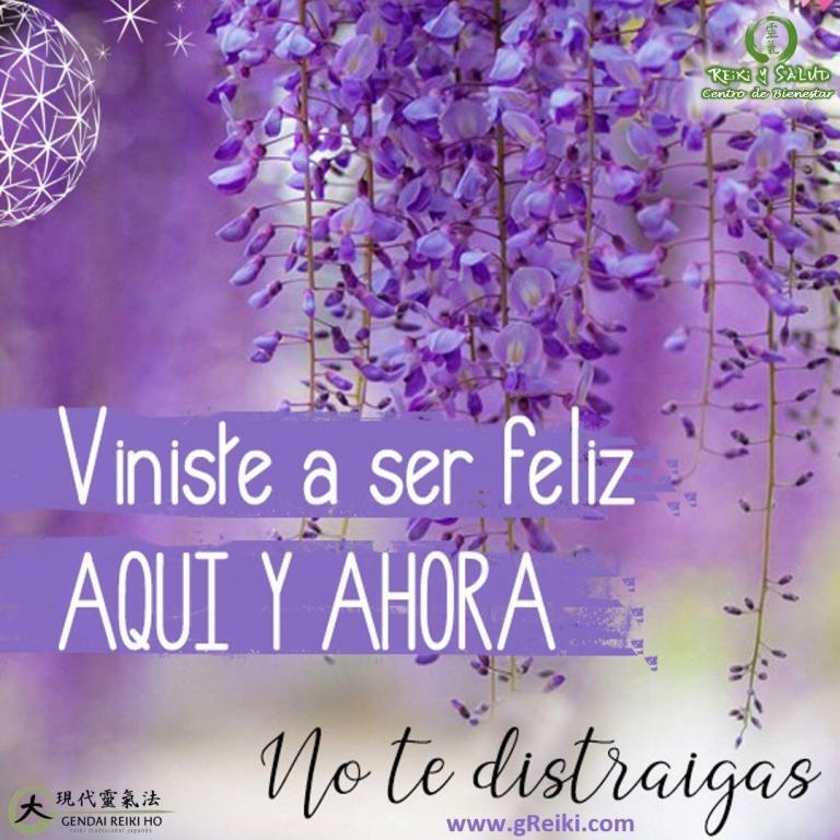 Viniste a ser FELIZ, AQUÍ y AHORA, no te distraigas.