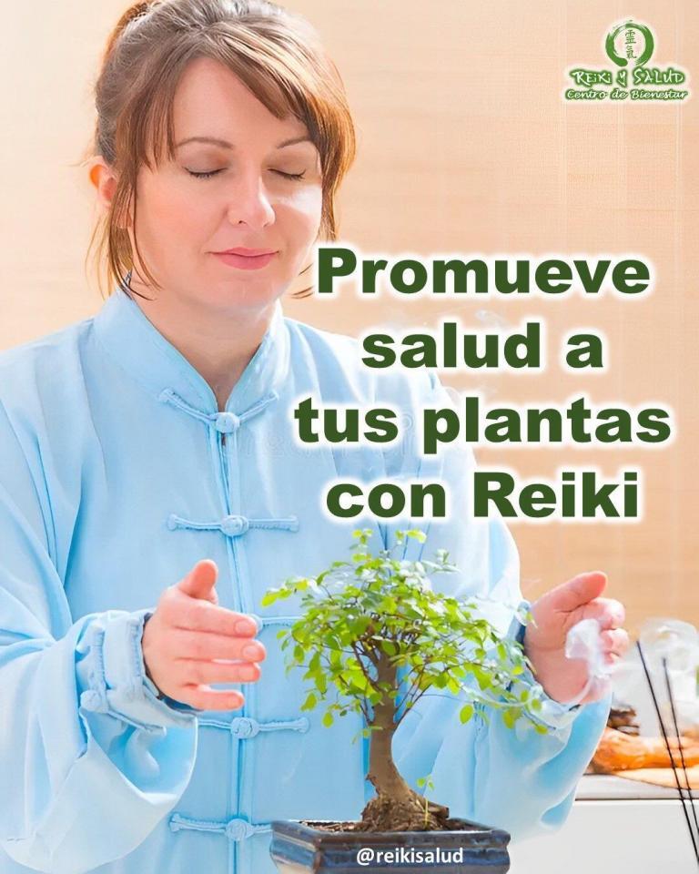 Aprende a promover salud a tus plantas con REIKI