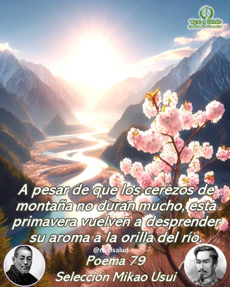 A pesar de que los cerezos de montaña no duran mucho, esta primavera vuelven a…