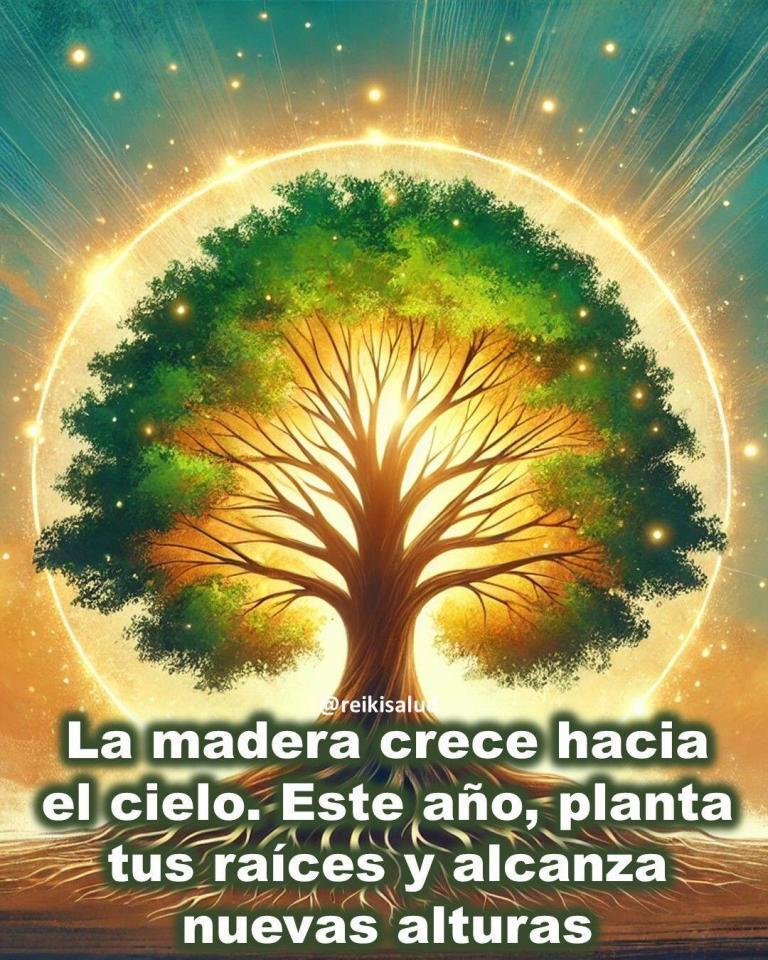 La madera crece hacia el cielo. Este año, planta tus raíces y alcanza nuevas alturas.