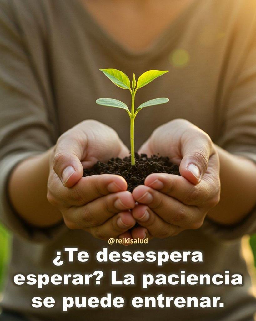 Te desespera esperar ¿Te desespera esperar? La paciencia se puede entrenar.