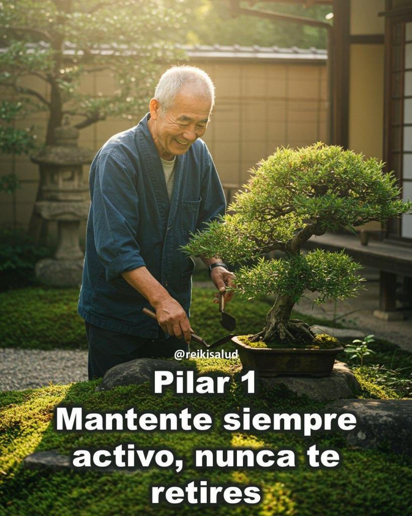 10 Pilares del Ikigai Pilar 1 ¿Conoces los 10 Pilares de una vida con Propósito, Plena y Longeva?