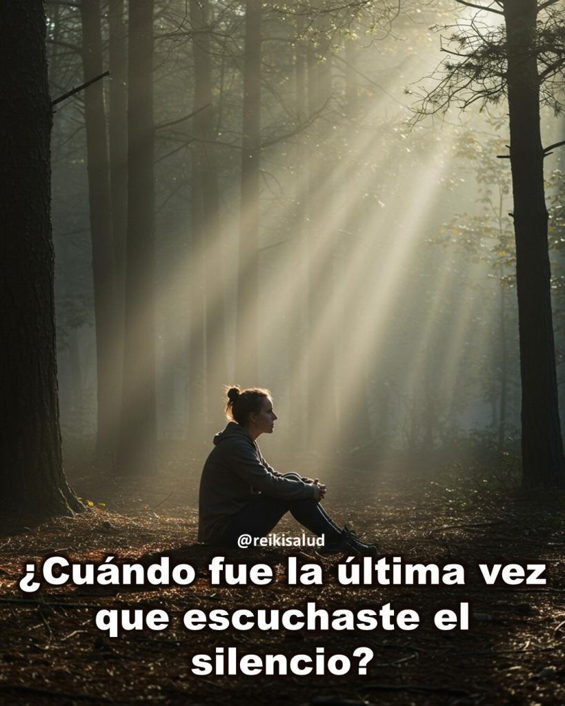 Cuando fue la ultima vez que escuchaste el silencio ¿Cuándo fue la última vez que escuchaste el silencio?